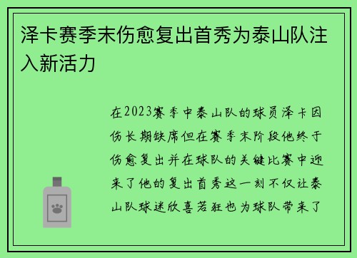 泽卡赛季末伤愈复出首秀为泰山队注入新活力 泽卡赛季末伤愈复出首秀为泰山队注入新活力
